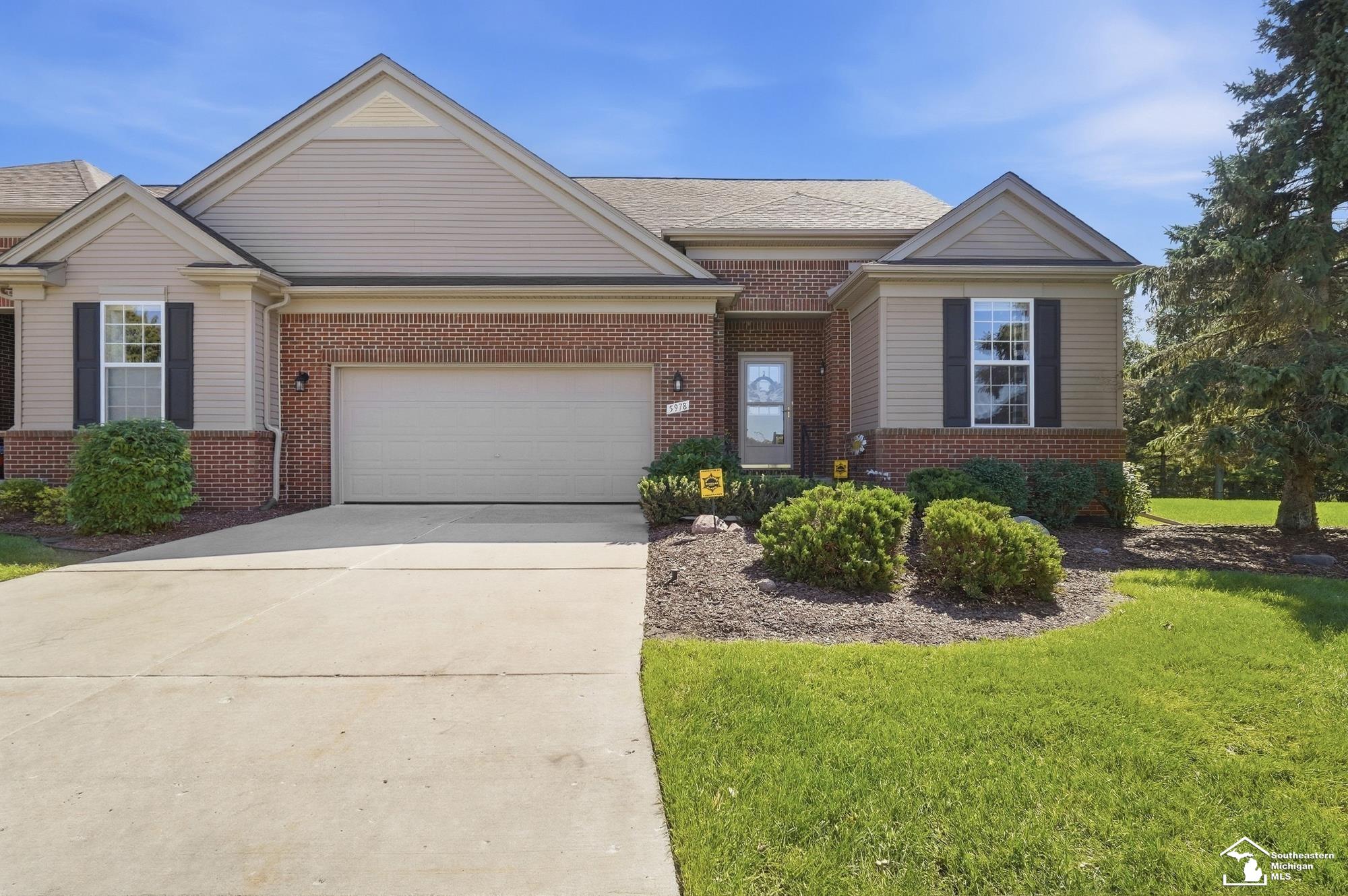 5978 Purple Martin DR